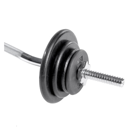 Barbell - Standard Cast Iron Weight Plate, 12.5 Lbs, Black